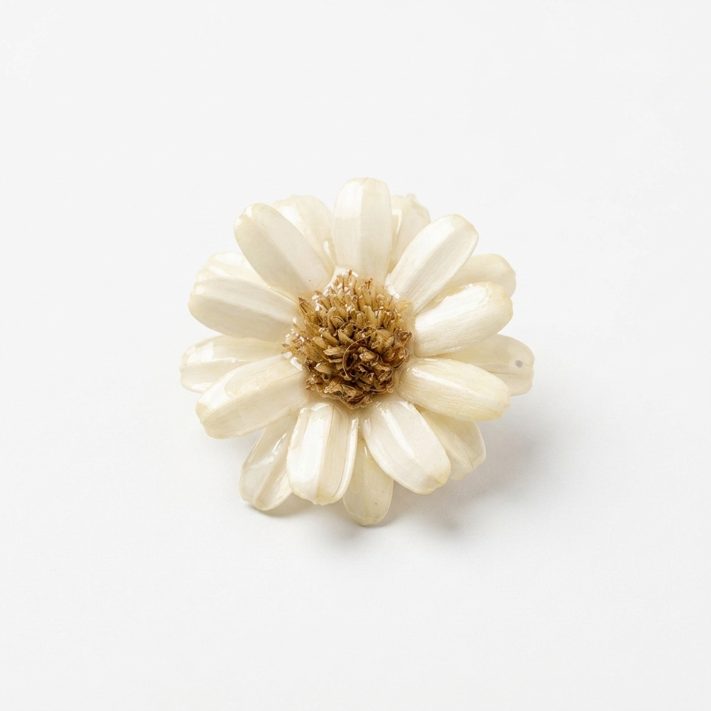 5pc, Real White Daisy Flower Resin Pendant Charm