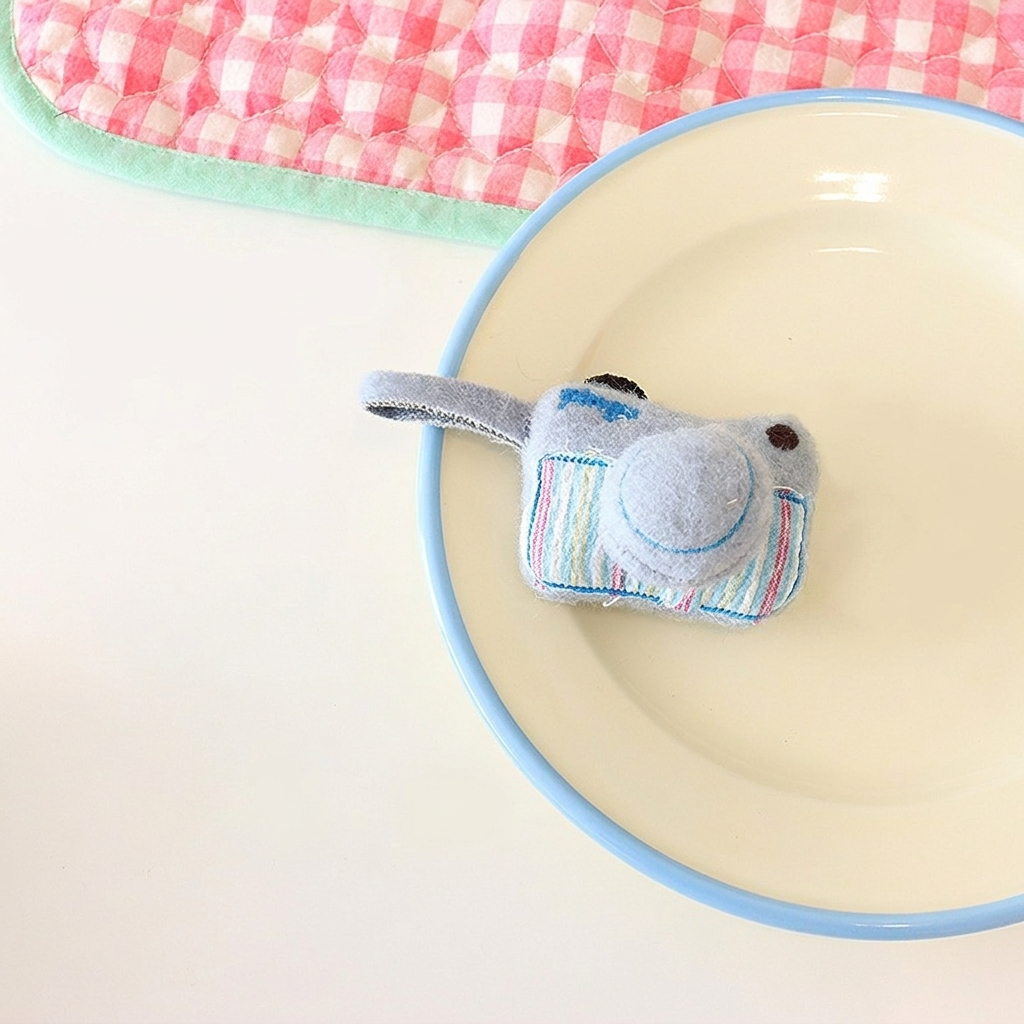 5pc, Pink Blue Fabric Camera Ornament Charm Brooch Pin